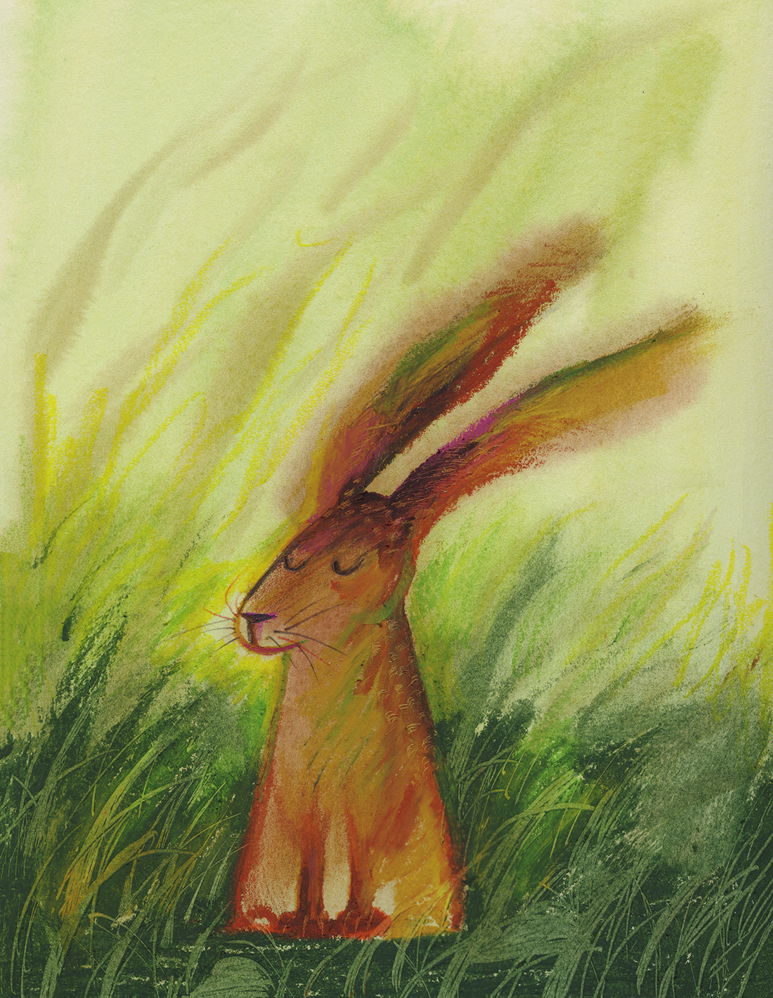 Hare on grass